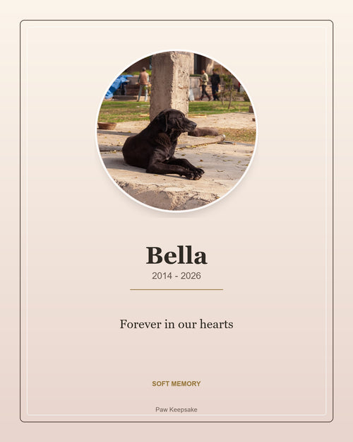 Custom Pet Memorial Digital Portrait