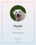 Custom Pet Memorial Digital Portrait